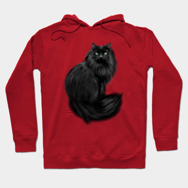 Beautiful Long Haired Cat Hoodie by cameradog